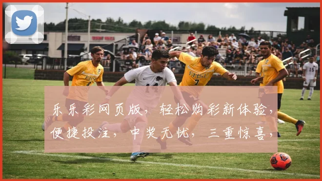 乐乐彩网页版，轻松购彩新体验，便捷投注，中奖无忧，三重惊喜，尽在掌握
