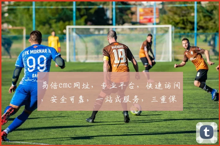易倍emc网址，专业平台，快速访问，安全可靠，一站式服务，三重保障，必看攻略，轻松登录