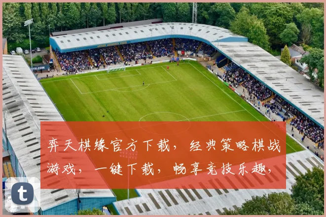 弈天棋缘官方下载，经典策略棋战游戏，一键下载，畅享竞技乐趣，不容错过