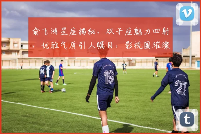 俞飞鸿星座揭秘，双子座魅力四射，优雅气质引人瞩目，影视圈璀璨明星