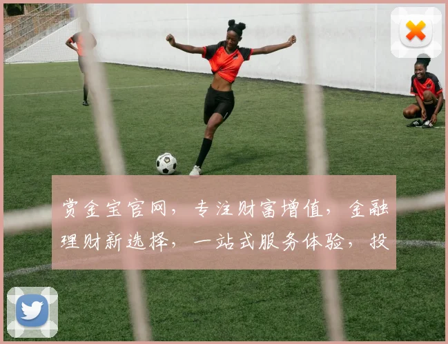 赏金宝官网，专注财富增值，金融理财新选择，一站式服务体验，投资首选平台，三重保障，值得信赖。